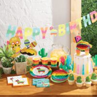 Thème Fiesta Fun