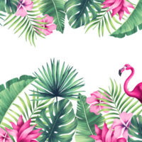 Thème Tropical